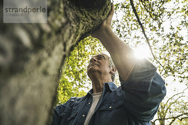 Älterer Mann steht am Baumstamm im Park