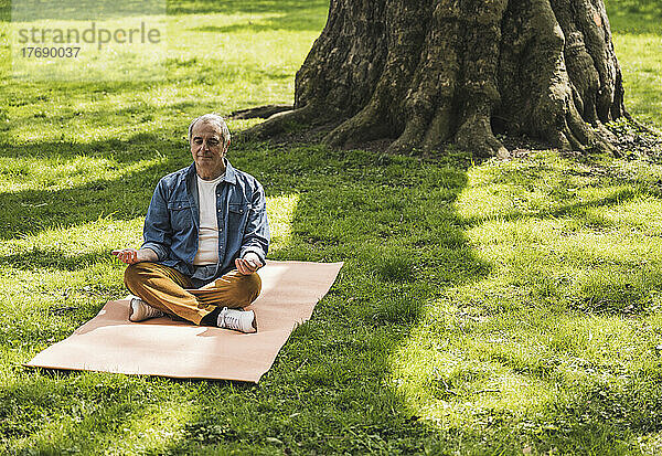 Rentner älterer Mann meditiert auf Gymnastikmatte im Park