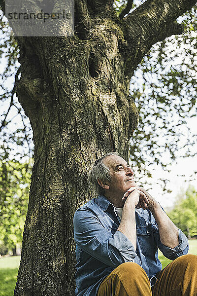 Lächelnder älterer Mann sitzt vor einem Baum im Park