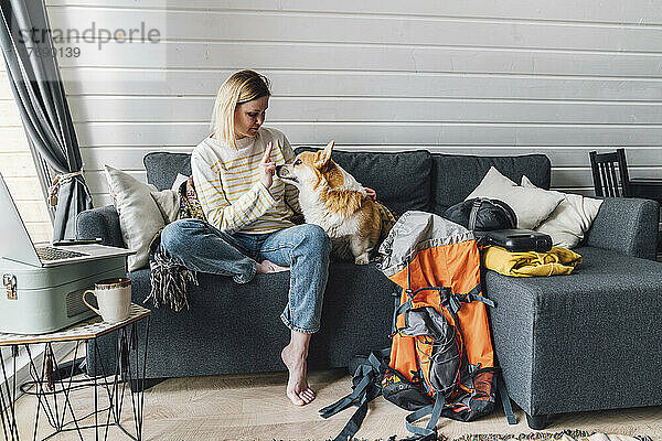 Frau gibt einem Hund  der zu Hause auf dem Sofa sitzt  Gehorsamstraining