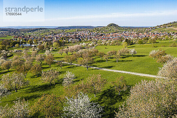 Deutschland  Baden-Württemberg  Neidlingen  Luftaufnahme blühender Obstbäume im Frühling mit Stadt im Hintergrund