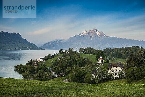 Panorama mit See und Bergen  Kapelle Eggisbühl  hinten Pilatus  Hertenstein  bei Weggis  Vierwaldstättersee  Kanton Luzern  Schweiz  Europa