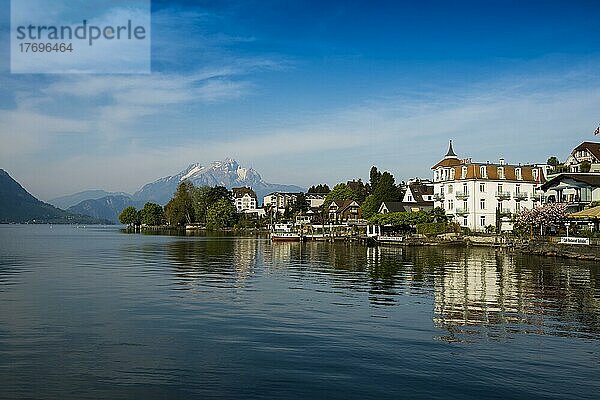 Hotels und Häuser am See  Weggis  Vierwaldstättersee  Kanton Luzern  Schweiz  Europa