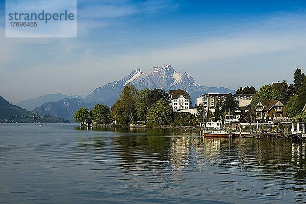 Hotels und Häuser am See  Weggis  Vierwaldstättersee  Kanton Luzern  Schweiz  Europa