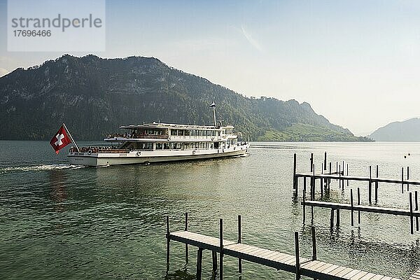 Kursschiff  Hertenstein  bei Weggis  Vierwaldstättersee  Kanton Luzern  Schweiz  Europa