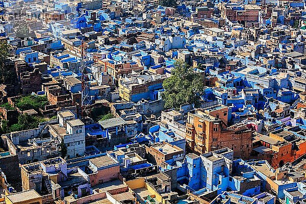 Luftaufnahme von Jodhpur  das wegen der leuchtend blau gestrichenen Brahmanenhäuser rund um das Mehrangarh Fort auch als Blaue Stadt bezeichnet wird. Jodhpur  Rajasthan