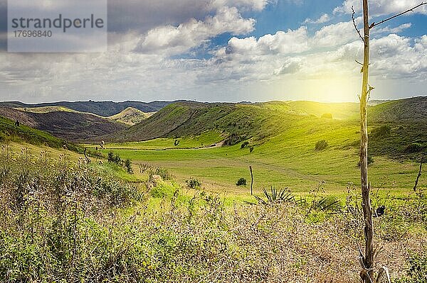 Ansicht von Hügeln mit Wolken und blauem Himmel  Wiese mit grünen Hügeln  Schöne Straße  die zu einem Hügel führt