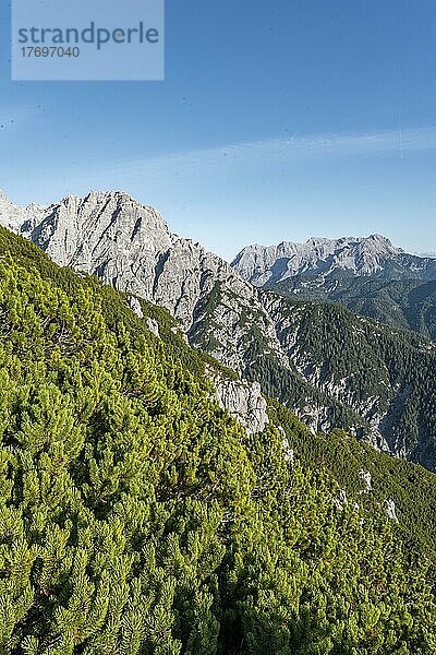 Blick auf Berglandschaft mit Gipfel Westliches Geiselhorn  hinten Leoganger Steinberge  Nuaracher Höhenweg  Loferer Steinberge  Tirol  Österreich  Europa
