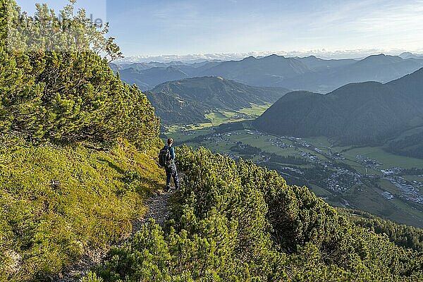 Wanderer auf Wanderweg zwischen Latschenkiefern  Abstieg vom Heimkehrerkreuz  Nuaracher Höhenweg  Loferer Steinberge  Tirol  Österreich  Europa