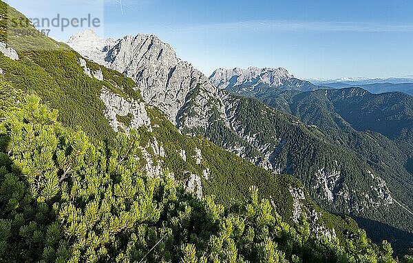 Blick auf Berglandschaft mit Gipfel Westliches Geiselhorn  hinten Leoganger Steinberge  Ausblick vom Heimkehrerkreuz  Nuaracher Höhenweg  Loferer Steinberge  Tirol  Österreich  Europa