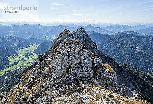 Grat mit felsigen Gipfeln  Berglandschaft  hinten Gipfel des Seehorn  Nuaracher Höhenweg  Loferer Steinberge  Tirol  Österreich  Europa