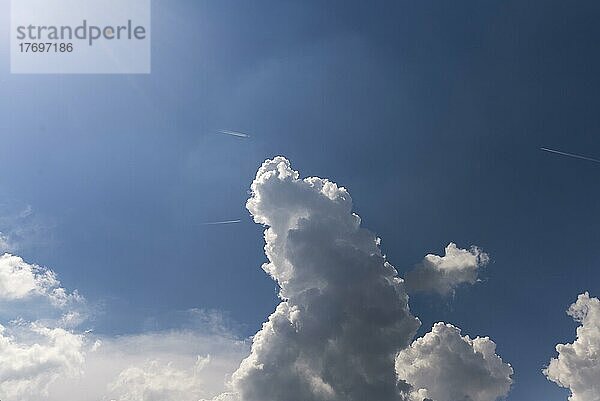 Haufenwolken (Cumulus)  Flugzeuge mit Kondensstreifen  Bayern  Deutschland  Europa