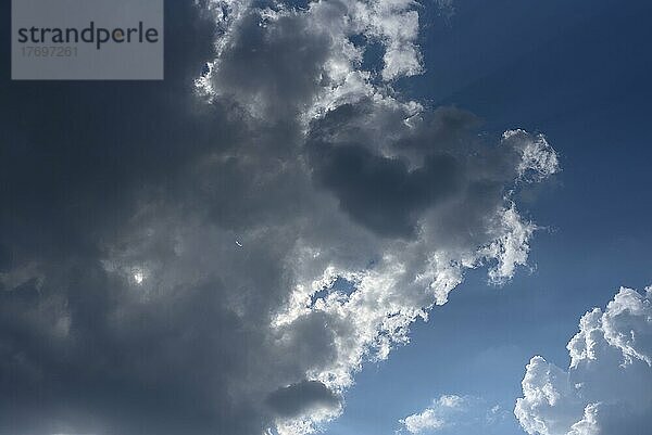 Regenwolke (Nimbostratus)  Bayern  Deutschland  Europa