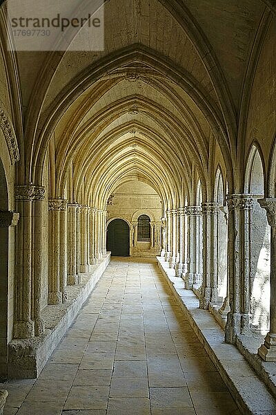 Kreuzgang  gotischer Teil  romanische ehemalige Benediktiner-Abteikirche Eglise Saint-Trophime  Arles  Departement Bouches-du-Rhone  Region Provence Alpes Cote d´Azur  Frankreich  Mittelmeer  Europa