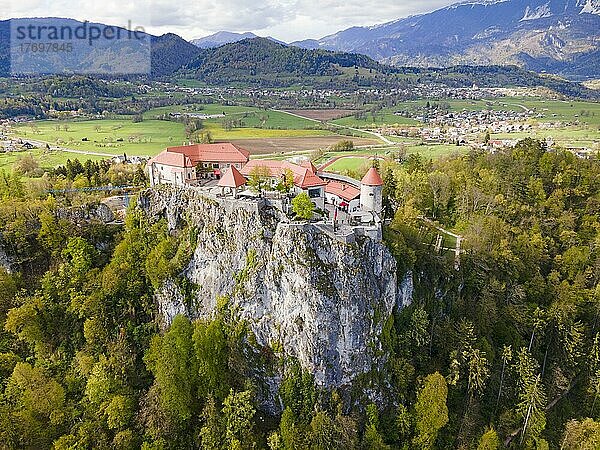 Drohnenaufnahme  Burg von Bled  Bleder See  Veldeser See  Blejsko jezero  Bled  Veldes  Feldes  Region Oberkrain  Gorenjska  Slowenien  Balkan  Europa