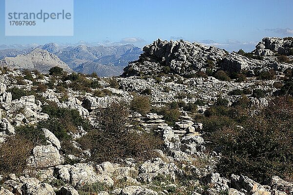 Bizarre Steinformationen im Nationalpark El Torca  Paraje Natural Torcal de Antequera  ist ein 1171 ha großes Naturschutzgebiet mit außergewöhnlichen Karstformationen im spanischen Andalusien  ca. 14 km entfernt von der Provinzstadt Antequera  Provinz Malaga  Andalusien  Spanien  Europa