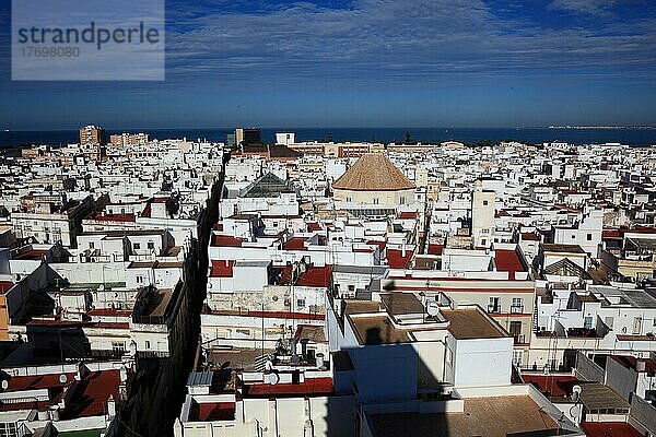 Stadt Cadiz  Blick vom Torre Tavira auf die Altstadt  Andalusien  Spanien  Europa