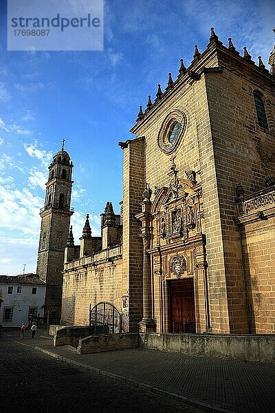 Jerez de la Frontera in der Provinz Cadiz  die Kathedrale Antigua Colegiata de San Savator  Seitenportal und Glockenturm  Andalusien  Spanien  Europa