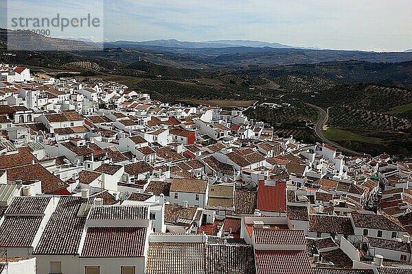 Gemeinde Olvera in der Provinz Cadiz  gelegen an der Ruta de los Pueblos Blancos  Straße der weißen Dörfer  Blick über den Ort  Andalusien  Spanien  Europa