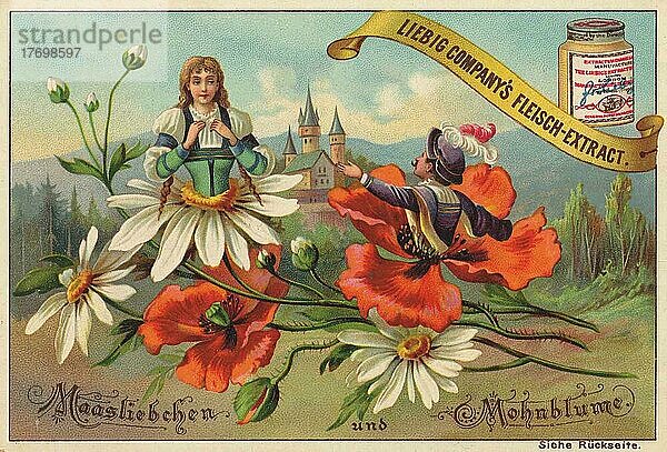 Serie Blumen und Sagen  Maasliebchen und Mohnblume  digital restaurierte Reproduktion eines Sammelbildes von ca 1900  Liebig Sammelbild  genaues Datum unbekannt