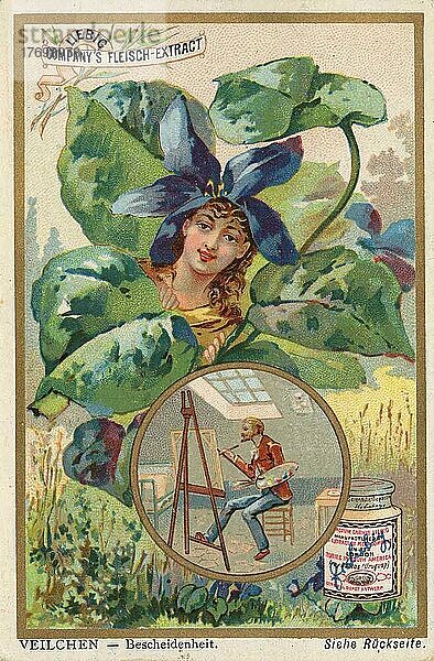 Serie Symbole der Blumen auf Personen bezogen  Veilchen steht für Bescheidenheit  Historisch  digital restaurierte Reproduktion eines Liebig Sammelbildes von ca 1900