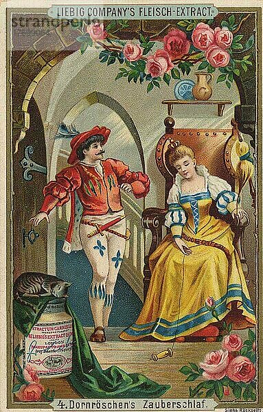 Serie Märchen Dornröschen  der Zauberschlaf  Historisch  digital restaurierte Reproduktion eines Liebig Sammelbildes von ca 1900