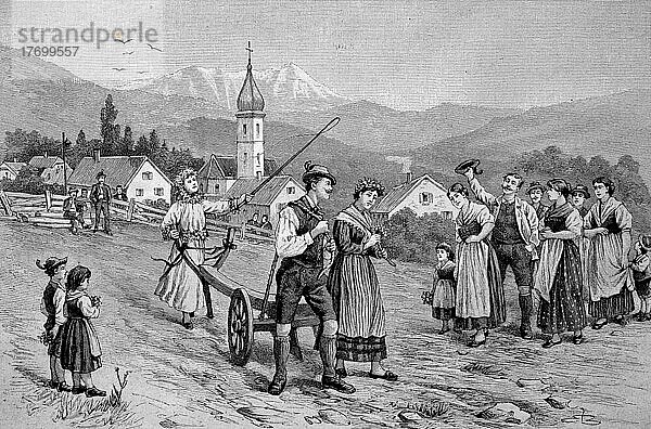 Hochzeitsbräuche in Österreich um 1870  Steiermark  Gemeinsames Pflügen des Feldes durch das Brautpaar  digital restaurierte Reproduktion einer Vorlage aus dem 19. Jahrhundert  genaues Datum nicht bekannt