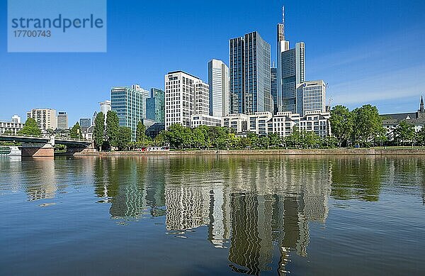 Main  Mainkai mit Mainuferpark  Skyline  Hochhäuser  Stadtzentrum  Frankfurt am Main  Hessen  Deutschland  Europa