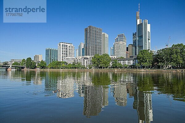 Main  Mainkai mit Mainuferpark  Skyline  Hochhäuser  Stadtzentrum  Frankfurt am Main  Hessen  Deutschland  Europa