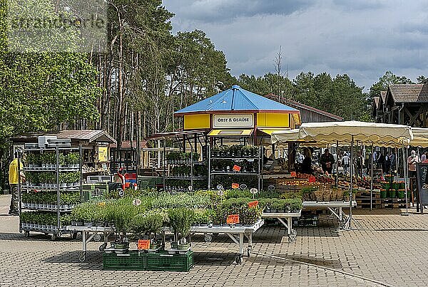 Marktstände und Verkaufsbuden auf dem Gelände des Spargelhof in Klaistow  Brandenburg  Deutschland  Europa
