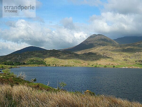 Irische Hügelige Landschaft am Lough Acoose  ein Binnensee am Ring of Kerry. Lough Acoose  Curraghbeg  Kerry  Irland  Europa