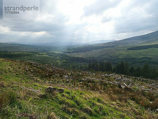 Hügelige Landschaft in Südirland am Rande des Ring of Kerry. Ballaghasheen Pass  Curravaha  Kerry  Irland  Europa