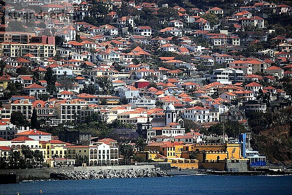 Blick vom Hafen auf einen Teil der Stadt  mit dem Fortaleza Sao Tiago  vorne rechts  Insel Madeira  Portugal  Europa