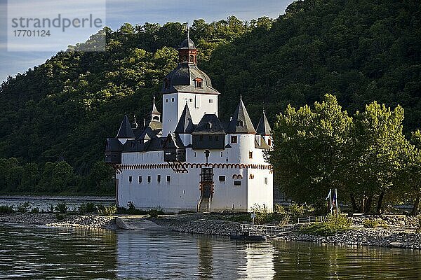 Burg Pfalzgrafenstein  Inselburg im Rhein  UNESCO-Weltkulturerbe  Oberes Mittelrheintal  Kaub  Rheinland-Pfalz  Deutschland  Europa