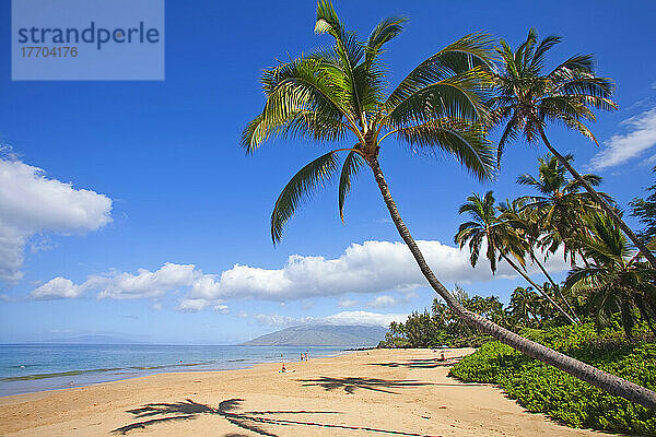 Kamaole Beach Park 1  Palmen und schöner Sandstrand  West Maui Mountains in der Ferne; Kihei  Maui  Hawaii  Vereinigte Staaten von Amerika