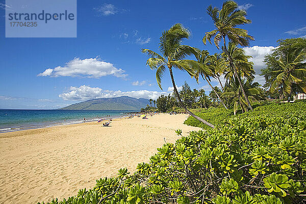 Kamaole Beach Park 1  Palmen und schöner Sandstrand  West Maui Mountains in der Ferne; Kihei  Maui  Hawaii  Vereinigte Staaten von Amerika