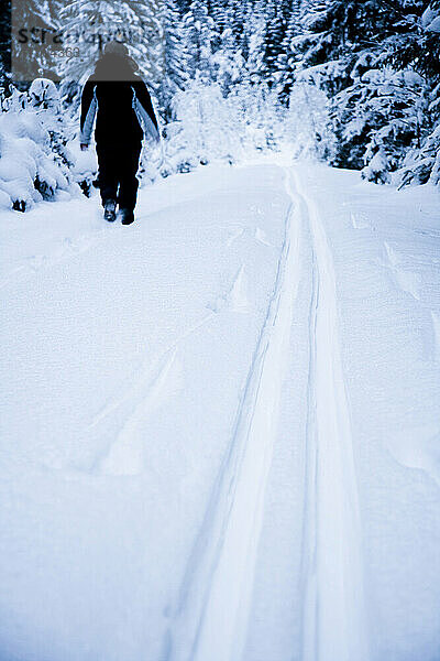 Frau geht auf einer verschneiten Straße im Winter; Ortnevik  Sognefjord  Norwegen