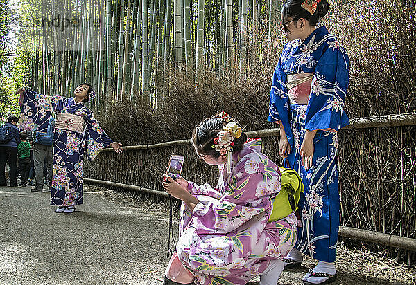 Junge Frauen in traditioneller Kleidung im Sagano Forest Grove in Kyoto  die sich gegenseitig auf dem Weg fotografieren. Der Hain ist eine der meistfotografierten Sehenswürdigkeiten der Stadt. Er befindet sich nordwestlich von Kyoto in Japan in der Nähe des Tenryu-ji-Tempels im Bezirk Arashiyama. Arashiyama ist seit den Tagen des klassischen Japans ein beliebter Standort für kaiserliche und adlige Villen und Tempel. In der Neuzeit wurden viele Bambushaine in Arashiyama aufgegeben oder in Wohngebiete umgewandelt. Die Regierung ergriff jedoch 1967 Maßnahmen zum Schutz der verbliebenen Bambushaine; Kyoto  Japan