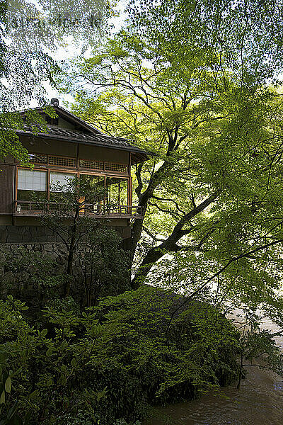 Hoshinoya Ryokan; Arashiyama  Kyoto  Japan