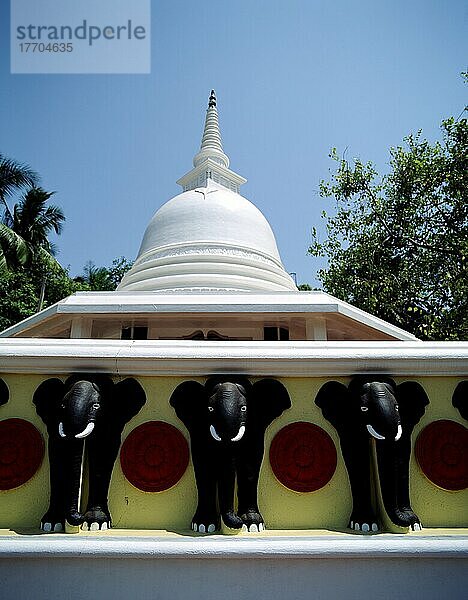 Kuppel der Stupa und Elefantenköpfe im Sama Chaitya-Tempel