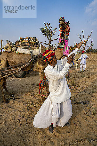 Rajput-Mann singt seinem Kamel in der Wüste Thar in Rajasthan  Indien; Nagaur  Rajasthan  Indien