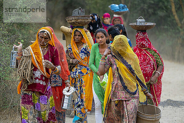 Frauen bei der Rückkehr ins Dorf in der ländlichen Wüste um Nimaj  Jaitaran Pali  Rajasthan  Indien; Rajasthan  Indien