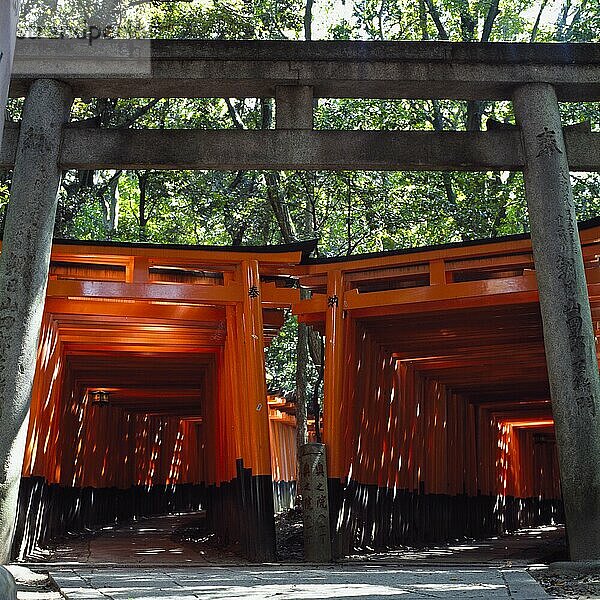 Rote Torii-Bögen über den Wegen des Inari-Tempels  Fushimi.