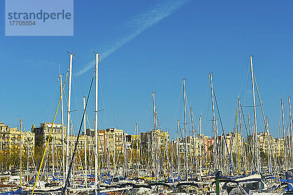 Ein geschäftiger Hafen voller Segelbootmasten und Gebäude entlang der Uferpromenade; Barcelona  Spanien