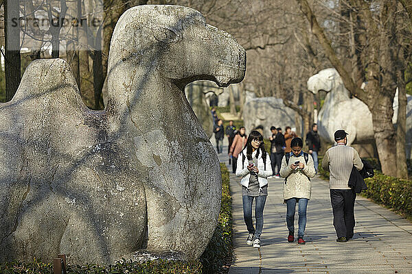 Skulpturenallee in Mingxiaoling  dem Grabmal des ersten Kaisers der Ming-Dynastie; Nanjing  Provinz Jiangsu  China