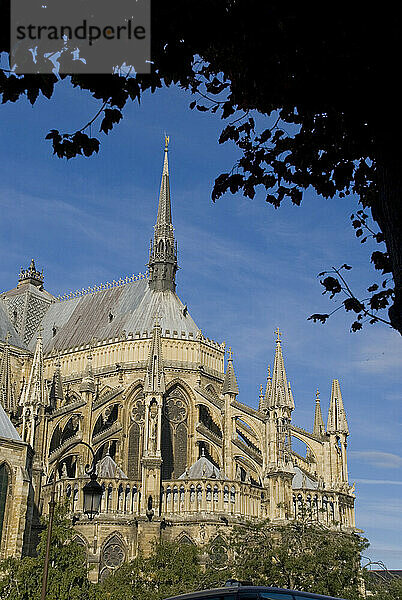 Europa  Frankreich  Haute Marne  Reims  Kathedrale