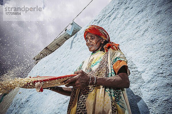 Eine Frau bei der Getreideernte in den Seitenstraßen; Harar  Äthiopien