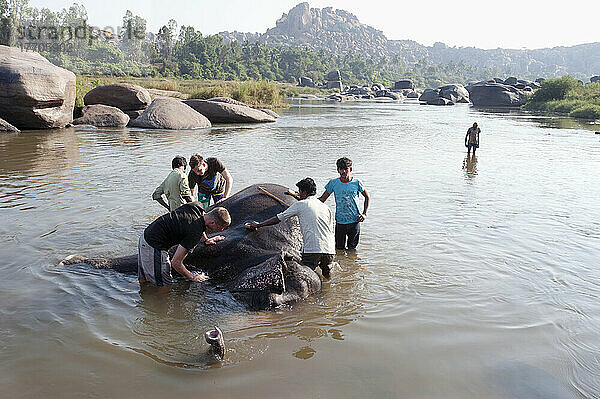 Männer waschen einen Elefanten im Fluss; Hampi  Karnataka  Indien