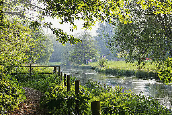 Wasserwiesen entlang des Flusses Itchen an einem Sommertag; Winchester  Hampshire  England
