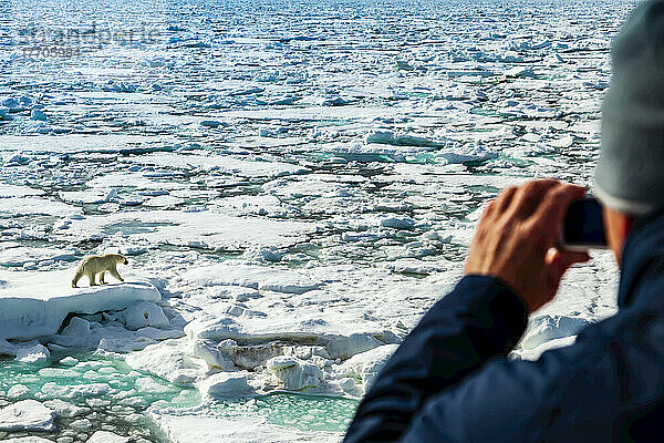 Gastfotografie einer Eisbirne (Ursus maritimus)  National Geographic Explorer; Svalbard  Norwegen